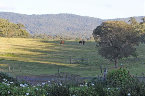 Wallaby Cottage - Accommodation Brunswick Heads 0