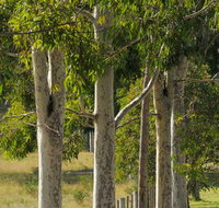 Stringybark Cottages - Accommodation Brunswick Heads