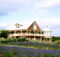 Serendipity Lavender Farm - Accommodation Brunswick Heads