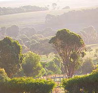 Mackas Farm - Accommodation Brunswick Heads