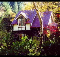 Forest Glade Olinda - Accommodation Brunswick Heads