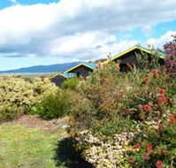Black Cockatoo Cottages - Accommodation Brunswick Heads