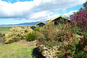 Black Cockatoo Cottages - Accommodation Brunswick Heads 0