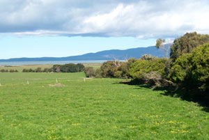 Black Cockatoo Cottages - Accommodation Brunswick Heads 5