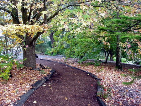 Brigadoon Cottages - Accommodation Brunswick Heads 3