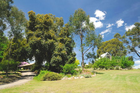 Brigadoon Cottages - Accommodation Brunswick Heads 5