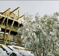 Silverski - Accommodation Brunswick Heads