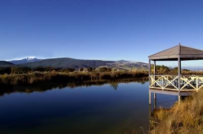 Wombat Hills Cottages - Accommodation Brunswick Heads 2