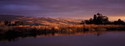 Wombat Hills Cottages - Accommodation Brunswick Heads 3