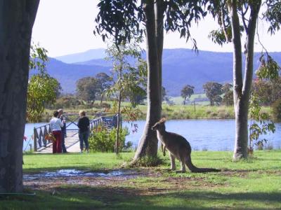 Wombat Hills Cottages - Accommodation Brunswick Heads 4
