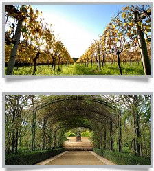 Morning Star Estate - Accommodation Brunswick Heads 1