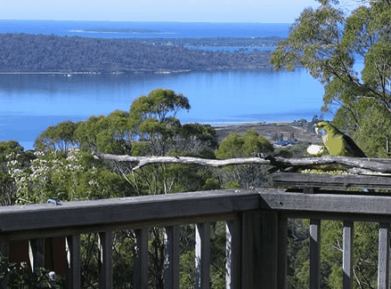 Bed in the Treetops - Accommodation Brunswick Heads