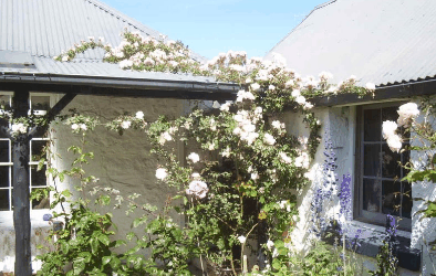 Orford Sanda House B&B - Accommodation Brunswick Heads 1