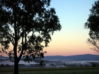Bluebush Estate - Accommodation Brunswick Heads 0