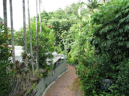 Tree Tops Lodge Cairns - Accommodation Brunswick Heads 2