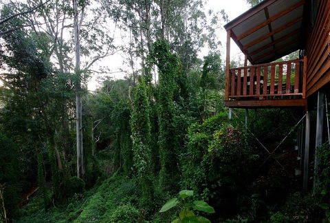 Ravensbourne Forest Chalets - Accommodation Brunswick Heads 1
