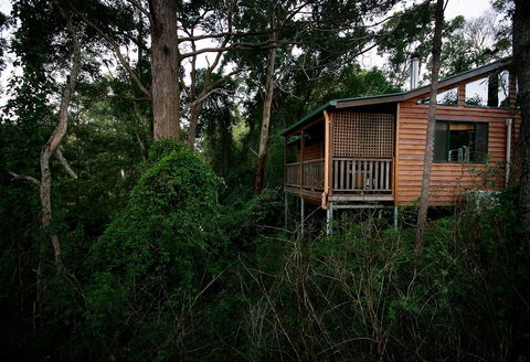 Ravensbourne Forest Chalets - Accommodation Brunswick Heads 4