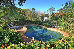 Acacia Dreaming At Light On Retreat - Accommodation Brunswick Heads 3