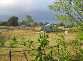 The House Of Honey - Accommodation Brunswick Heads 2