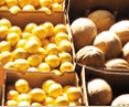 Brisbane Markets - Accommodation Brunswick Heads