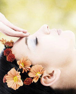 Retreat In The Suburbs - Accommodation Brunswick Heads 2