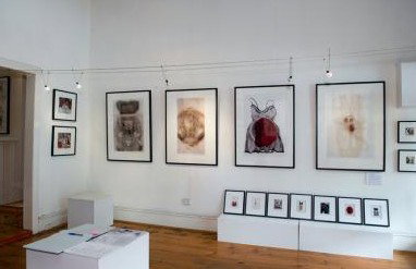 Bird's Gallery - Accommodation Brunswick Heads 1