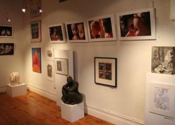 Bird's Gallery - Accommodation Brunswick Heads 2