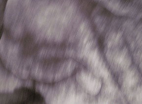 69 Smith Street - Accommodation Brunswick Heads 1