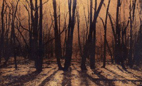 69 Smith Street - Accommodation Brunswick Heads 2