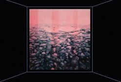 Paradise Hills - Accommodation Brunswick Heads 1