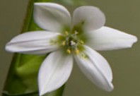 Soul Treat - Accommodation Brunswick Heads 2