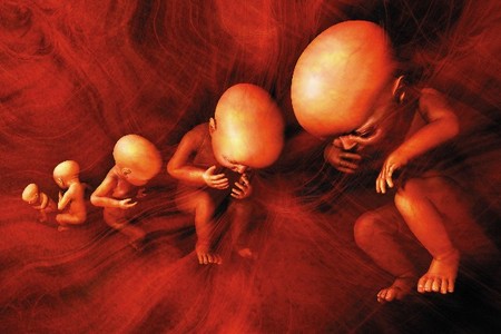 Winterfall Theatre Company - Accommodation Brunswick Heads 1