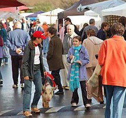  Accommodation Brunswick Heads