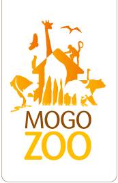 Mogo NSW Accommodation Brunswick Heads