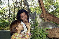 Taronga Zoo - Accommodation Brunswick Heads 2