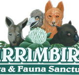 Wirrimbirra Sanctuary - Accommodation Brunswick Heads