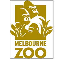Melbourne Zoo - Accommodation Brunswick Heads