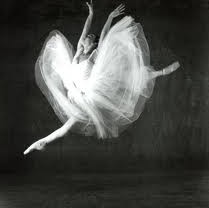 Glen Street Theatre - Accommodation Brunswick Heads 3