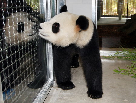 Adelaide Zoo - Accommodation Brunswick Heads 3