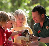 Cleland Wildlife Park - Accommodation Brunswick Heads