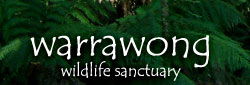 Warrawong Wildlife Park - Accommodation Brunswick Heads 0