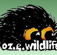 OZe Wildlife - Accommodation Brunswick Heads