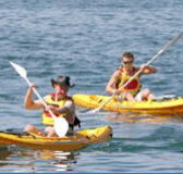 Manly Kayaks - Accommodation Brunswick Heads