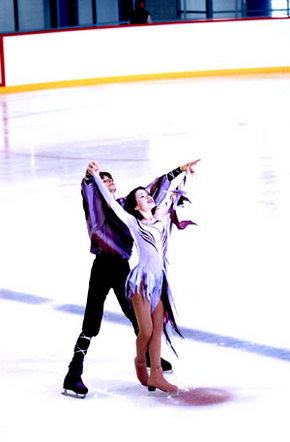 Sydney Ice Arena - Accommodation Brunswick Heads 1