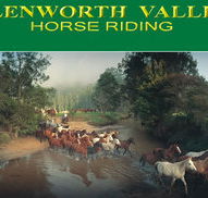Glenworth Valley Horseriding - Accommodation Brunswick Heads