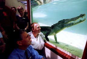 Alice Springs Reptile Centre - Accommodation Brunswick Heads 1