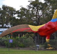 Gumbuya Park - Accommodation Brunswick Heads