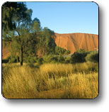  Accommodation Brunswick Heads