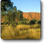 Uluru - Kata Tjuta National Park - Accommodation Brunswick Heads