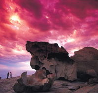 Kangaroo Island Adventure Tour 2 day/1 night - Accommodation Brunswick Heads